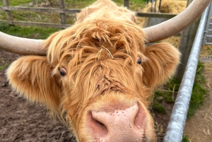 Edinburgh: Isle of Skye, Inverness och Highlands 3-dagars tur