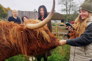 Edinburgh: Loch Ness, Glencoe & the Scottish Highlands Tour