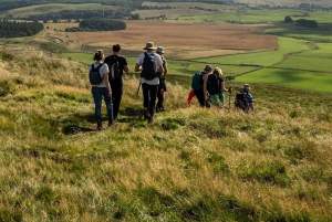 Edinburgh: Pentland Hills guidad naturvandring