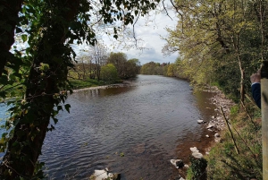 Edimburgo: Tour particular do Whisky das Terras Altas com transporte