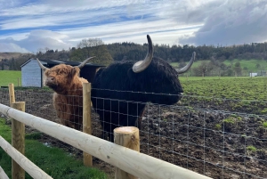 Édimbourg : excursion d'une journée aux Kelpies, au Loch Lomond et dans les Trossachs