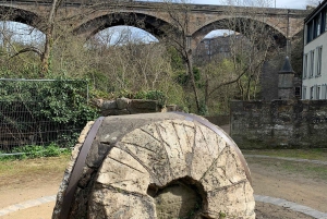 Förtrollande Edinburgh: Halvdagsvandring med lokal guide