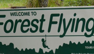 Forest Flying in Eungella National Park