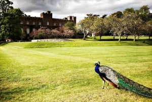 Neljä kaupunkia, yksi päivä: Andrews, Dundee, Perth & More