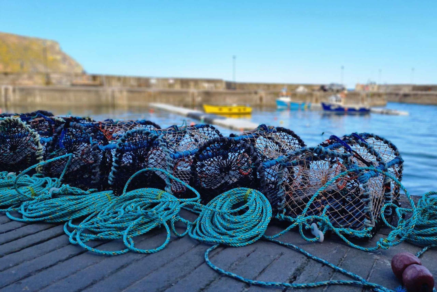 Desde Aberdeen: Excursión por los pueblos costeros de Aberdeenshire