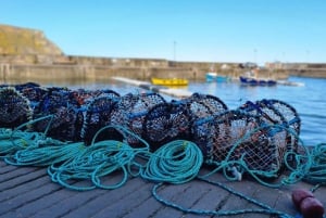 Desde Aberdeen: Excursión por los pueblos costeros de Aberdeenshire