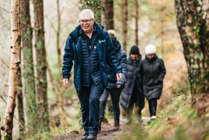 Aberdeenista: Dunnottar Castle and Cairngorms -päiväretki