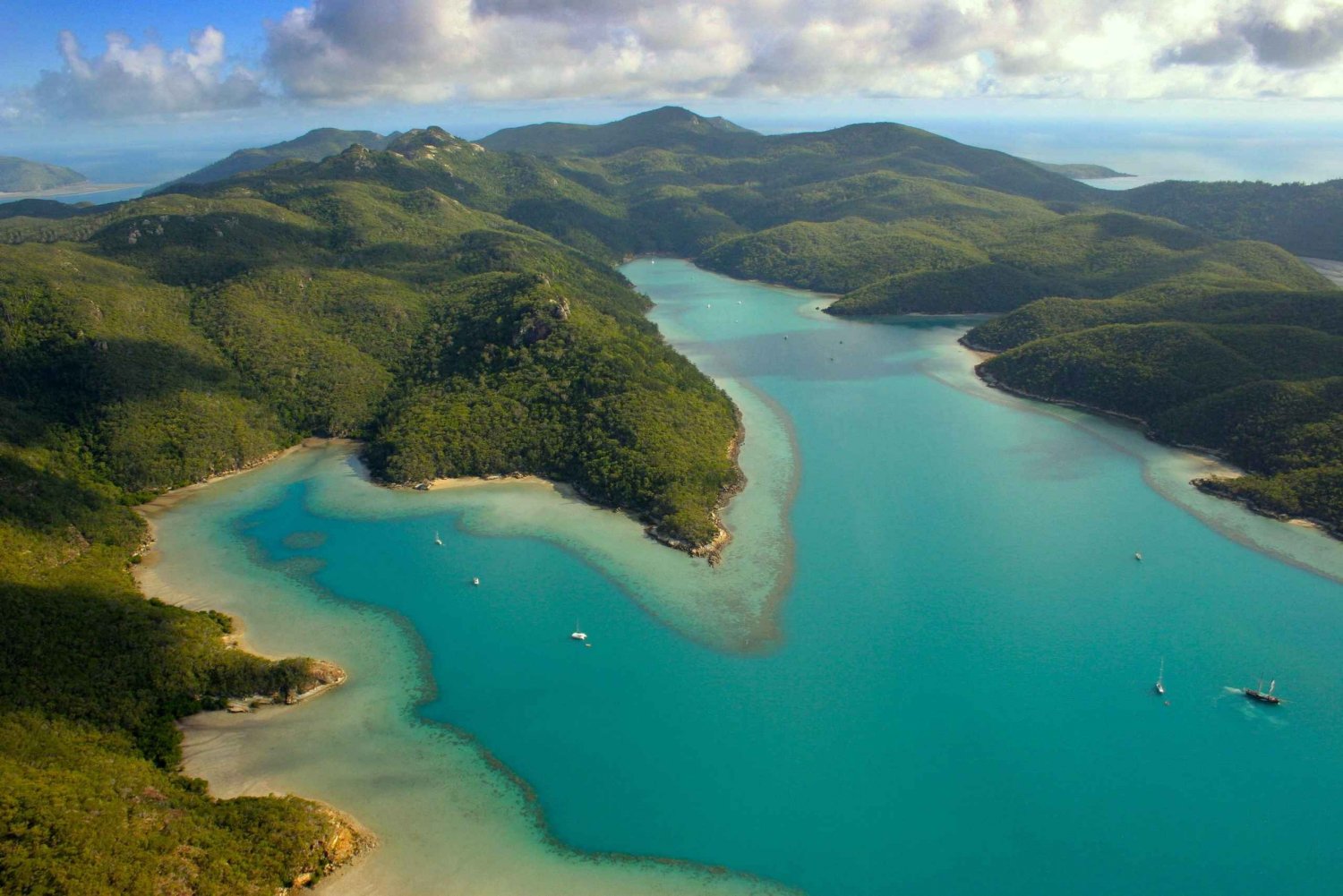 Från Airlie Beach: Kulturell rundtur på Hook Island, segling och snorkling