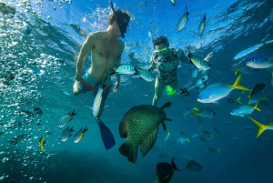 From Airlie Beach: Hook Island Cultural Tour, Sail & Snorkel