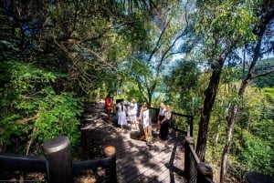 From Airlie Beach: Hook Island Cultural Tour, Sail & Snorkel