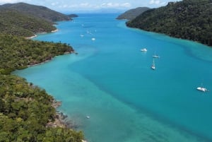 From Airlie Beach: Hook Island Cultural Tour, Sail & Snorkel