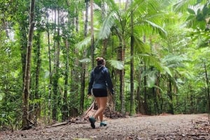 Airlie Beach: Waterfall & Bushwalk Eco Adventure Whitsundays