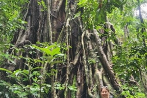 Airlie Beach: Waterfall & Bushwalk Eco Adventure Whitsundays