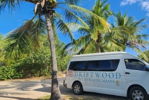 Airlie Beach: Waterfall & Bushwalk Eco Adventure Whitsundays