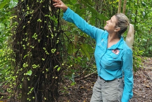 Airlie Beach: Waterfall & Bushwalk Eco Adventure Whitsundays