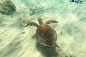 From Airlie Beach: Whitehaven and Chalkies Beaches Day Tour