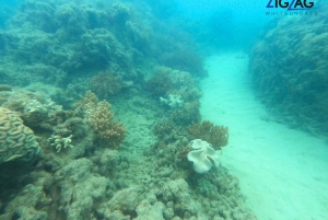 From Airlie Beach: Whitehaven and Chalkies Beaches Day Tour