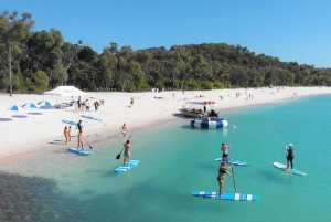 From Airlie Beach: Whitehaven Beach Club Cruise