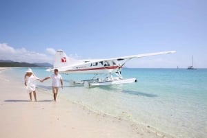 From Airlie Beach: Whitehaven Beach Seaplane Tour with Lunch