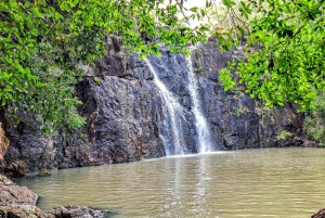 From Airlie Beach: Whitsunday Hinterland and Beach Bus Tour