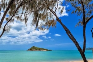 From Airlie Beach: Whitsunday Hinterland and Beach Bus Tour