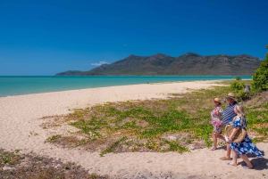 From Airlie Beach: Whitsunday Hinterland and Beach Bus Tour