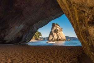 Fra Auckland: Utflukt til Cathedral Cove og varmtvannsstranden