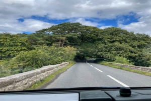 De Belfast: Excursão em terra para a excursão Causeway Express