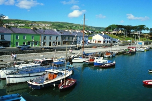 De Belfast: Excursão em terra para a excursão Causeway Express