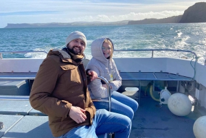 Desde Belfast: excursión en barco y tierra por la Calzada de los Gigantes de día completo