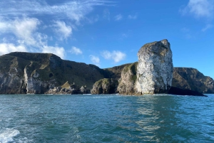 Desde Belfast: excursión en barco y tierra por la Calzada de los Gigantes de día completo
