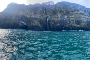 Desde Belfast: excursión en barco y tierra por la Calzada de los Gigantes de día completo