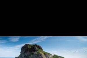 From Belfast: Giant's Causeway and Dark Hedges Day Tour