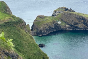 From Belfast: Giant's Causeway and Dark Hedges Day Tour