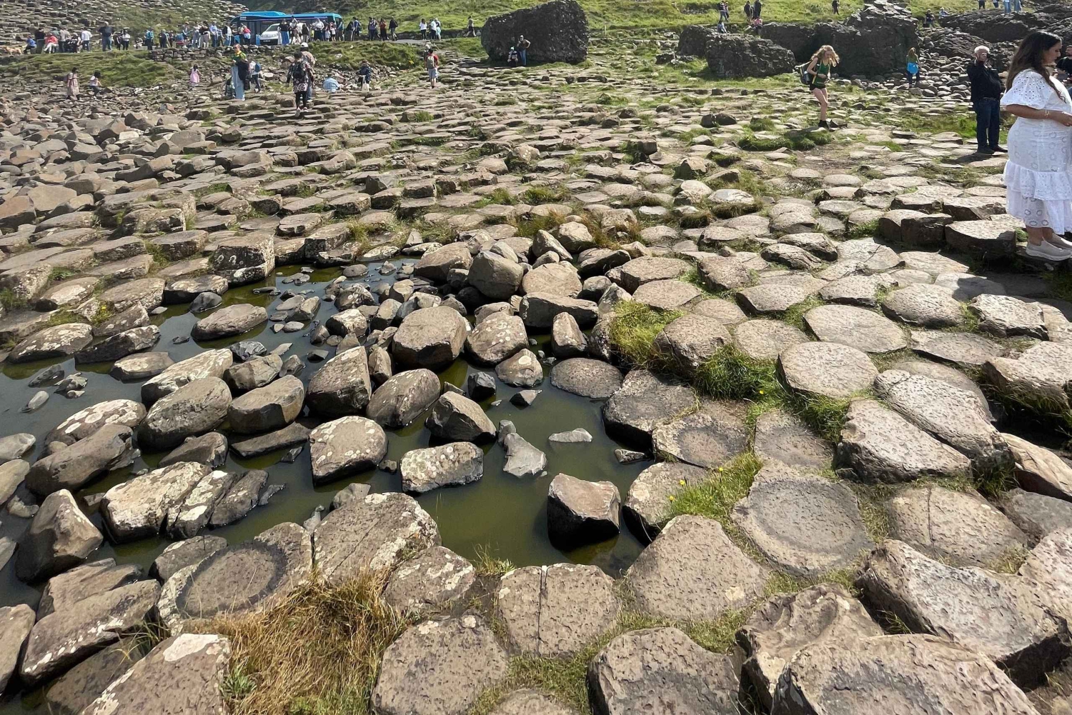 De Belfast: tour particular pela Calçada dos Gigantes em Belfast