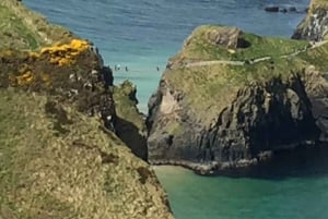 De Belfast: Viagem de 1 dia a Giants Causeway