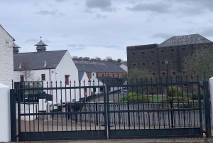 Fra Belfast: Privat Giants Causeway-kysttur