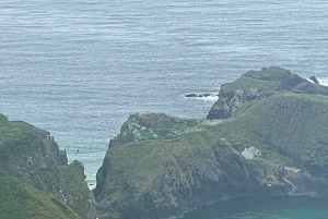Fra Belfast: Privat Giants Causeway-kysttur