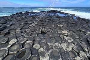 Fra Belfast: Privat Giants Causeway-kysttur