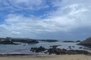 Fra Belfast: Privat Giants Causeway-kysttur