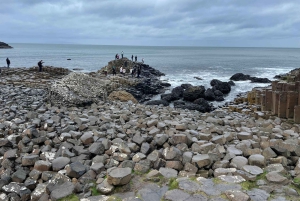 Fra Belfast: Privat Giants Causeway-kysttur