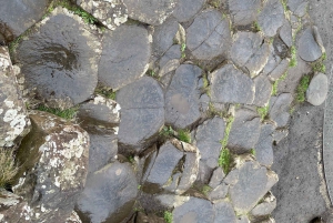 Fra Belfast: Privat Giants Causeway-kysttur