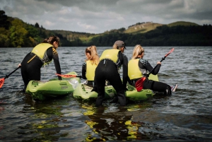 Från Belfast : Kajakupplevelse med sit-on-top-kajak