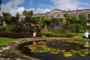 Fra Belfast: Strangford Lough Kings and Queens Tour