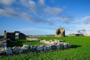 Fra Belfast: Strangford Lough Kings and Queens Tour