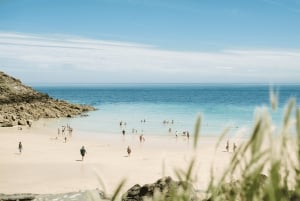 Vanuit Bristol: 4-daagse rondreis door Cornwall, Devon en Stonehenge