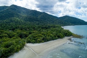 Forfait de 3 jours : récif, forêt tropicale et outback