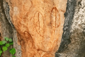 Forfait de 3 jours : récif, forêt tropicale et outback