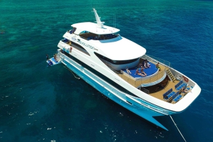 Forfait de 3 jours : récif, forêt tropicale et outback