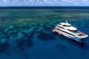 Forfait de 3 jours : récif, forêt tropicale et outback